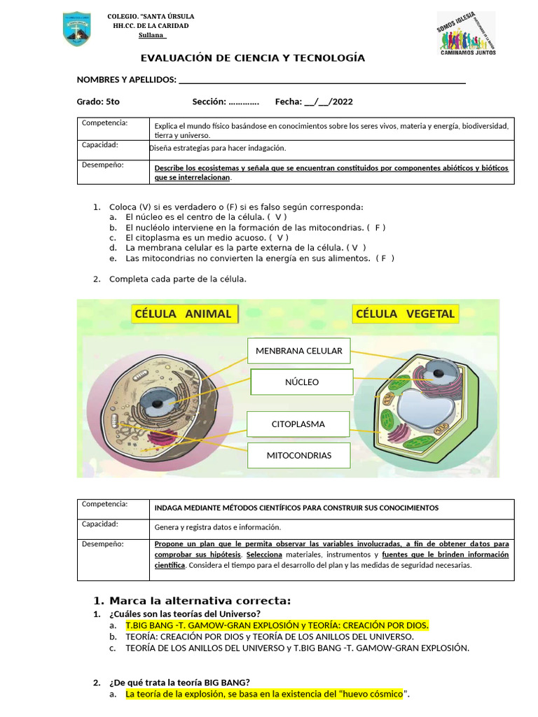 Resuelta 02-10-2022 Evaluación de Ciencia y Tecnología Quinto Grado Iii ...