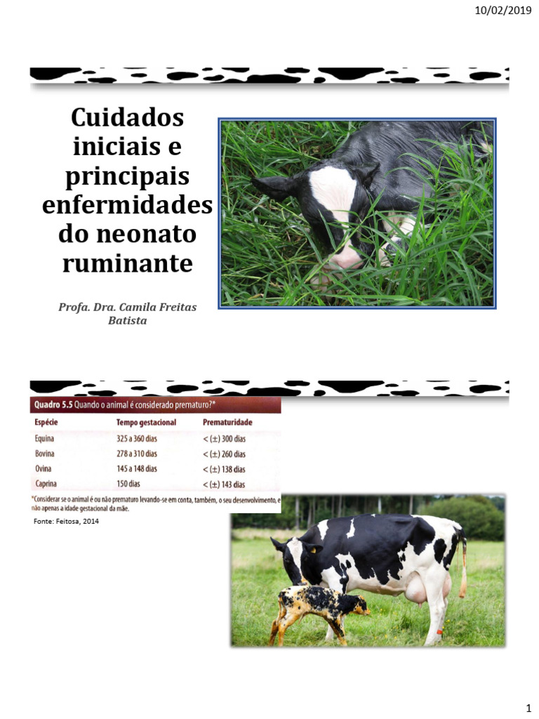 Cuidados e Doenças em Neonatos Ruminantes | PDF | Diarreia ...