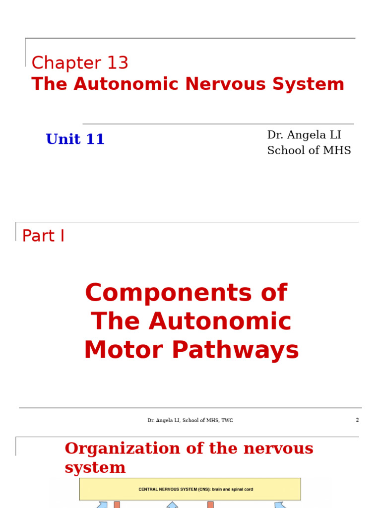 Autonomic Nervous System Overview | PDF | Acetylcholine | Autonomic ...