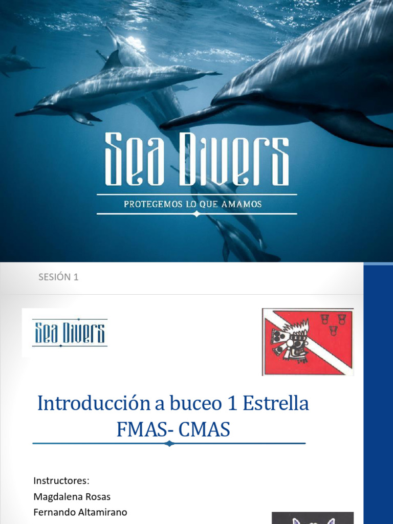 Equipo de Buceo SD | PDF | Buceo bajo el agua
