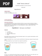 Experiências realizadas no primeiro período