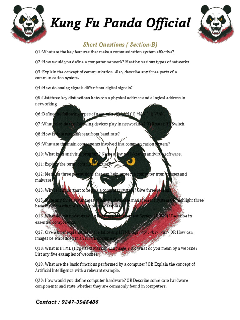 IX Computer Target Paper by Kung Fu Panda Official | PDF | Html | Databases