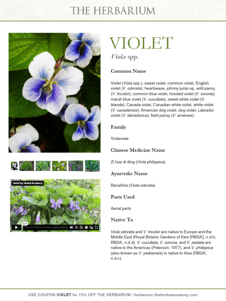 Violet Species and Uses Overview | PDF | Chemotherapy