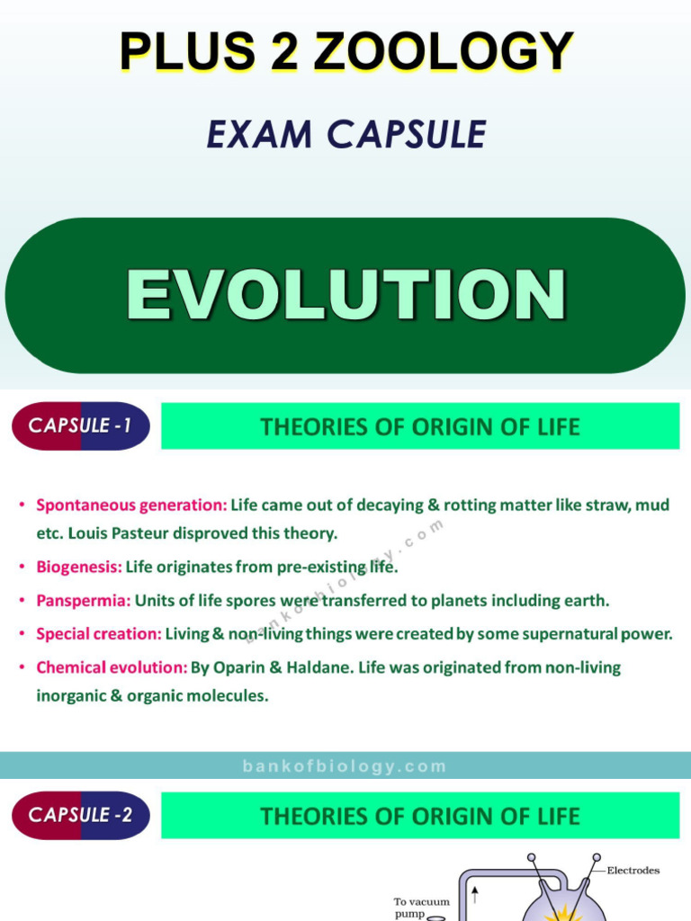 7 Evolution Exam Capsule Pic | PDF