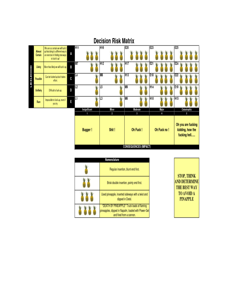 Copy r1sk 4ssessment | PDF