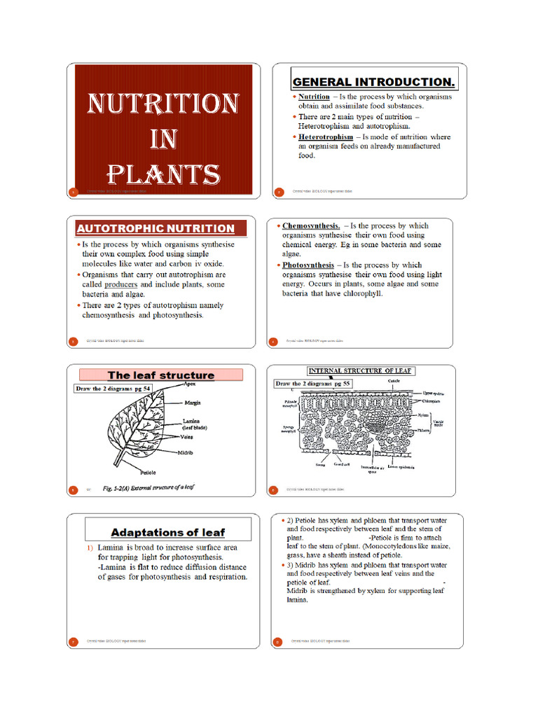 Biology Crystal Super Notes Form 1 NUTRITON in PLANTS Complete | PDF ...