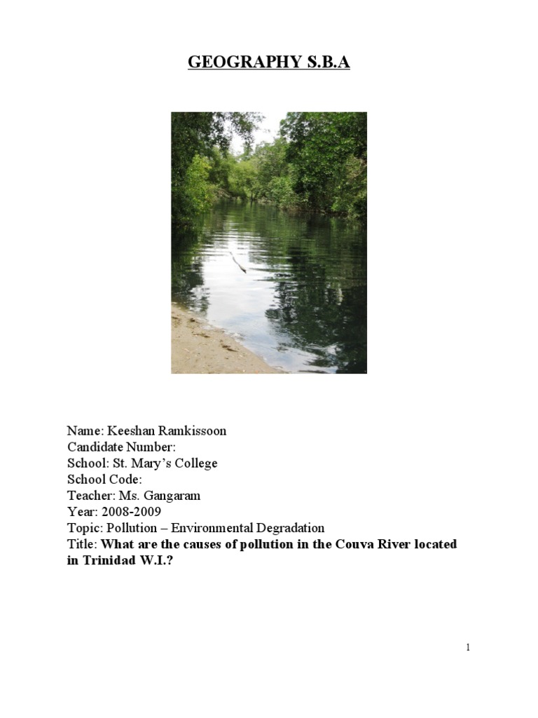 Geography SBA | Download Free PDF | Eutrophication | Water Pollution