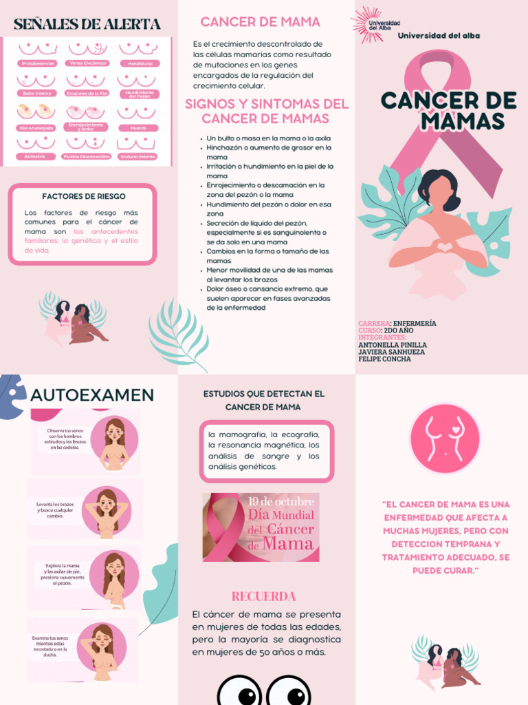 Folleto Tríptico Campaña Octubre Rosa Cáncer de Mama Ilustrado Femenino ...