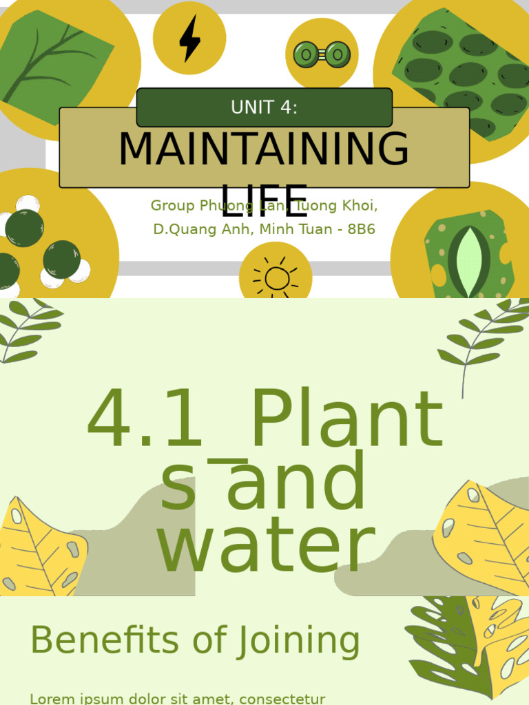 Plant Water Needs and Human Excretion | PDF | Excretion | Kidney