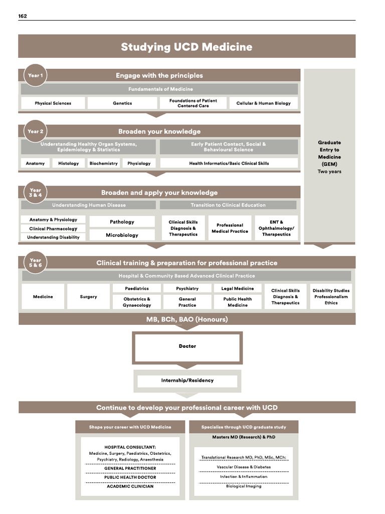 Medicine Pathway | PDF