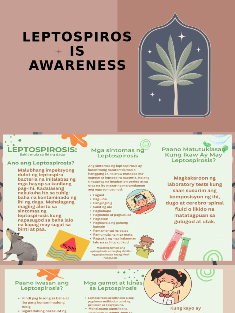 Curated visual reference: Leptospiroscopy Infection Reference: Leptospirosis Awareness Presentation