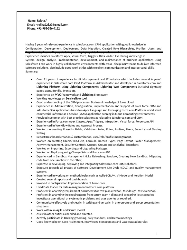 Salesforce Administrator & Developer Profile | PDF | Software ...