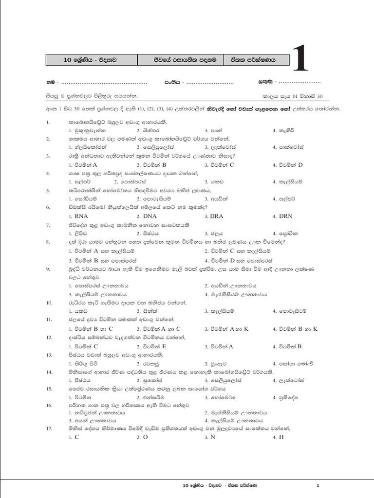 Document Analysis and Summary Guide | PDF