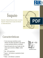 Ísquio: Características e Acidentes Anatômicos