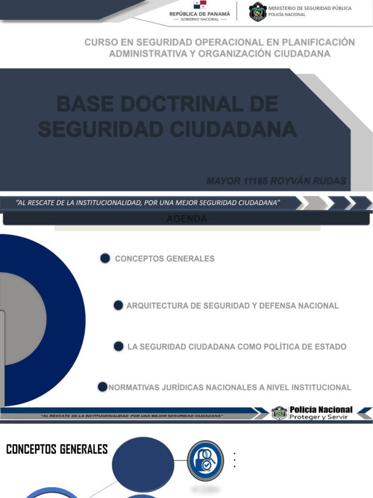 Seguridad Ciudadana y Política de Estado | PDF | Valores | Policía