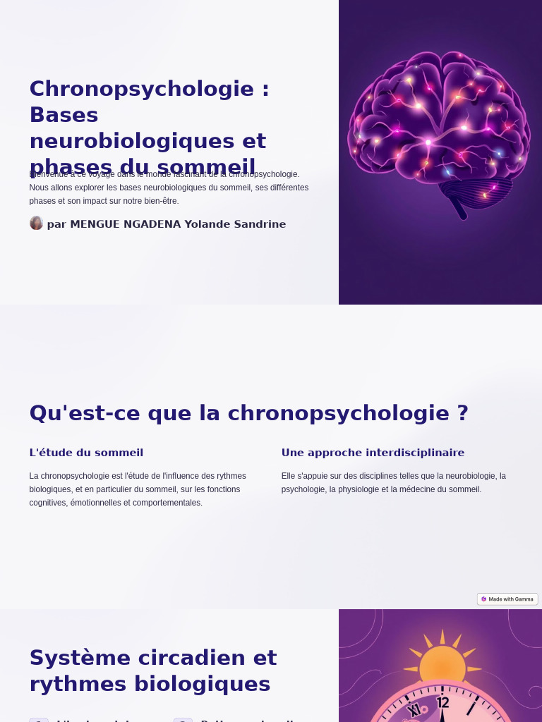 Chronopsychologie Bases Neurobiologiques Et Phases Du Sommeil | PDF ...