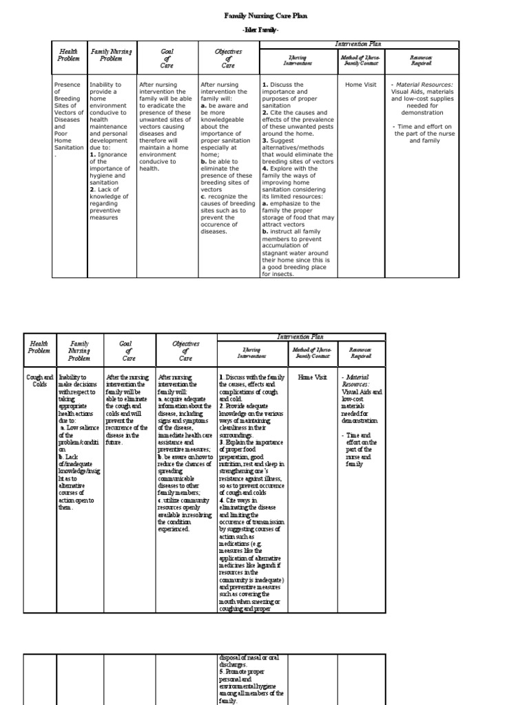 38398044 Family Nursing Care Plan Common Cold Nursing