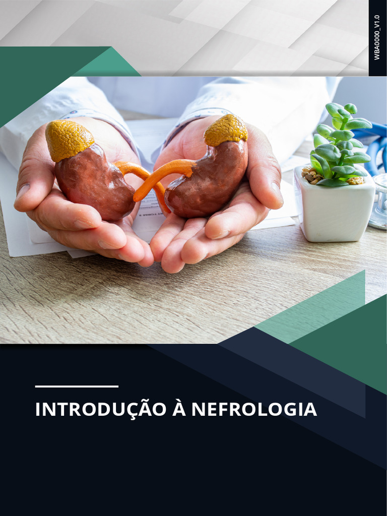 Introdução a Nefrologia | PDF | Rim | Endotélio