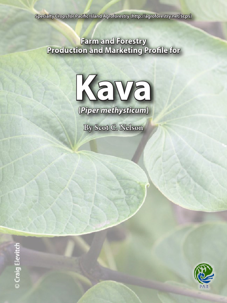 Kava Production and Uses in Dubai | PDF | Botany | Plants