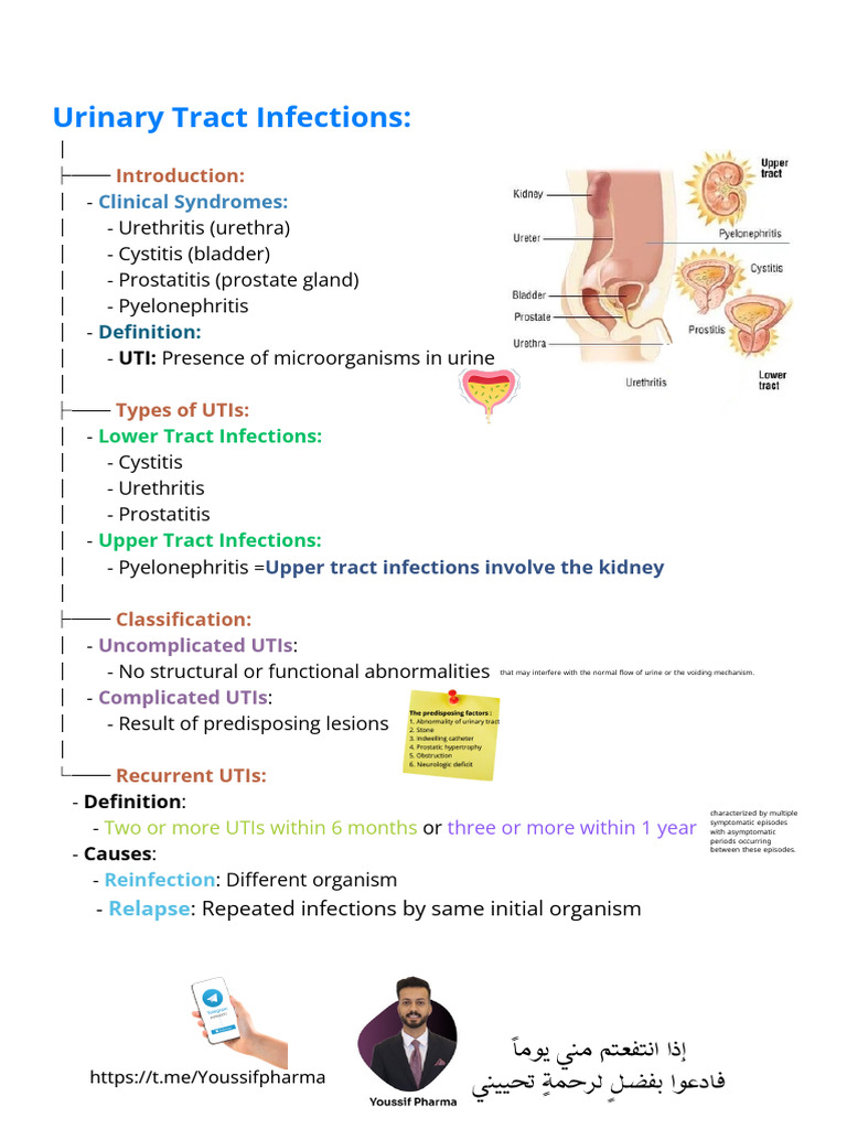 Urinary Tract Infections | PDF | Urinary Tract Infection | Antibiotics