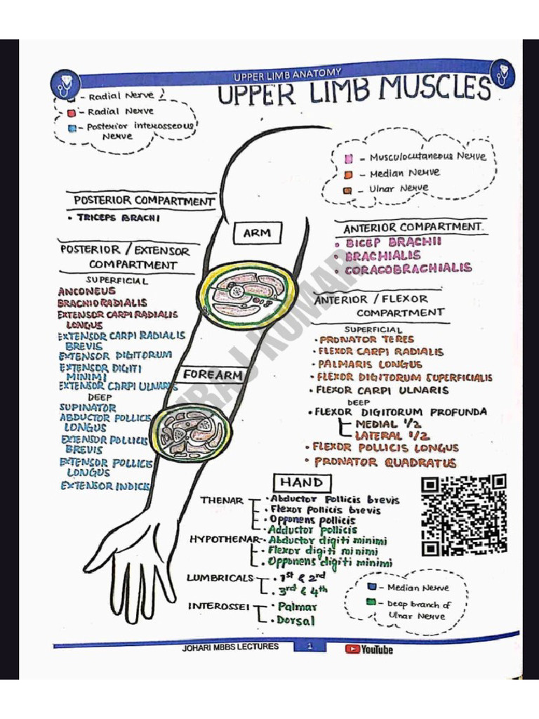 Diagram of Johari | PDF