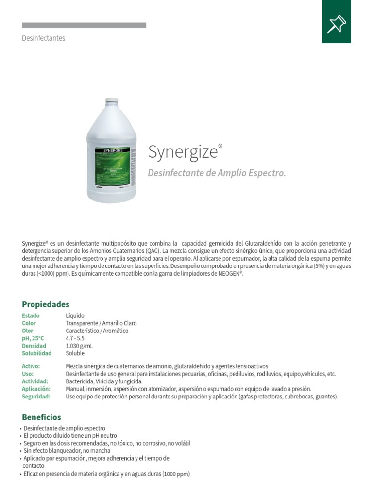 Synergize Vigente | PDF