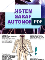 Sistem Saraf Autonomik