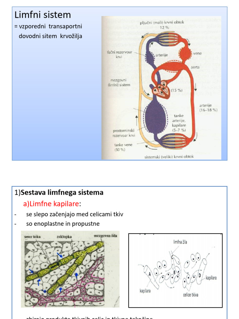 Limfni Sistem | PDF