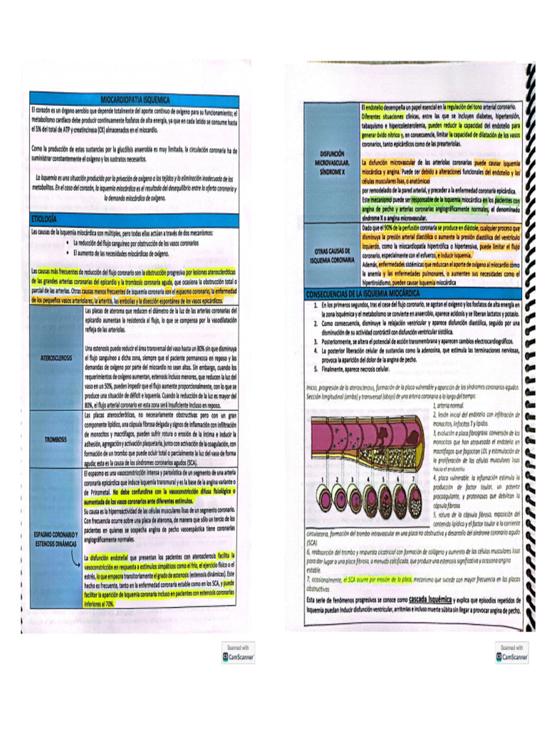 C 4 | PDF