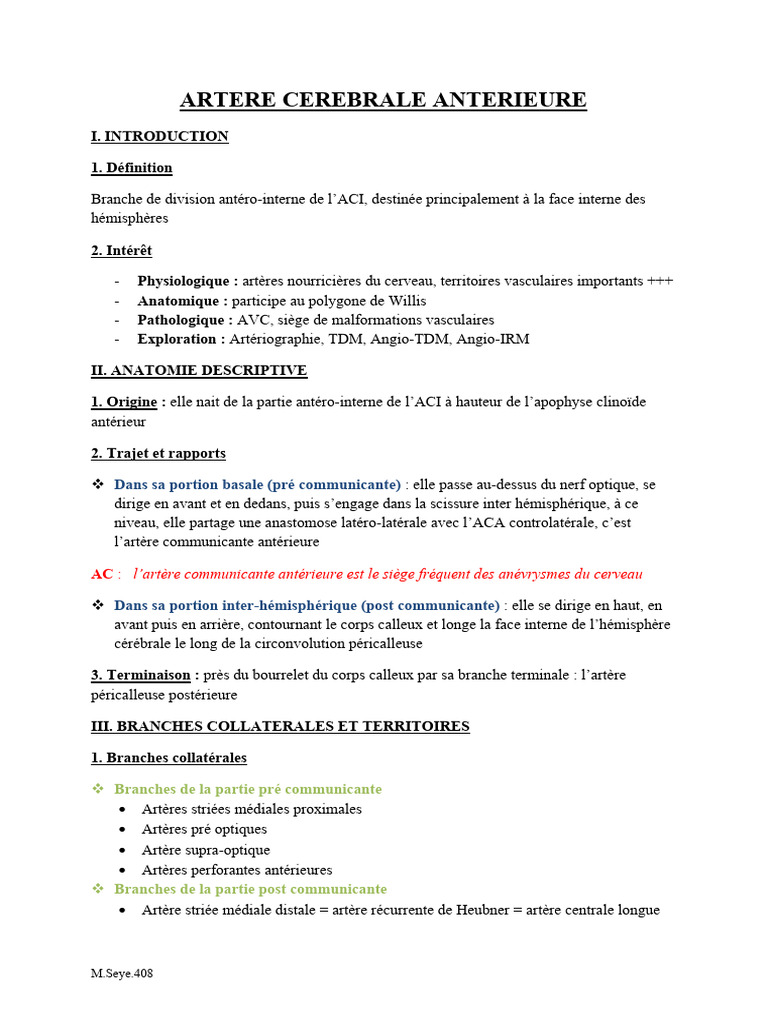 A1 Arteres Cerebrales | PDF | Lobe temporal | Circonvolution cérébrale