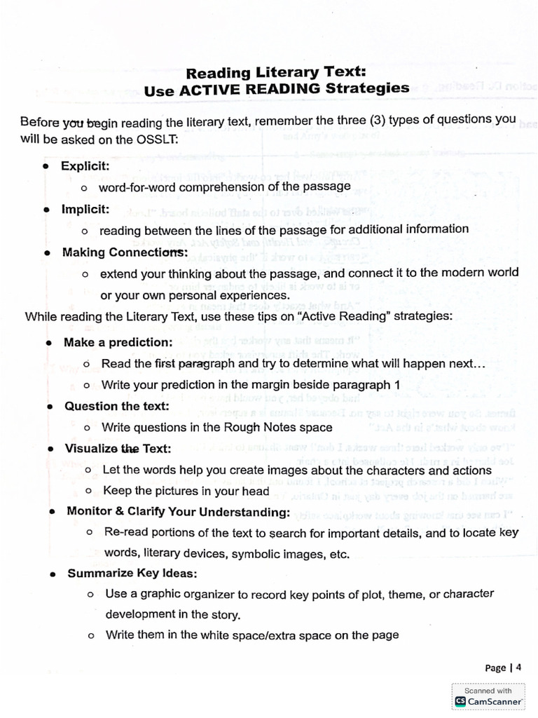 Reading A Literary Text | PDF