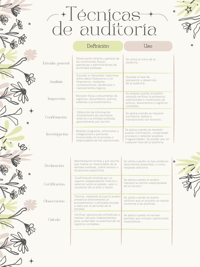 Técnicas De Auditoria Pdf Auditoría Contralor