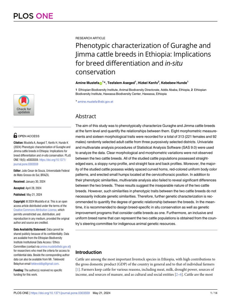 Phenotypic Characterization of Guraghe and Jimma C | PDF | Cattle ...