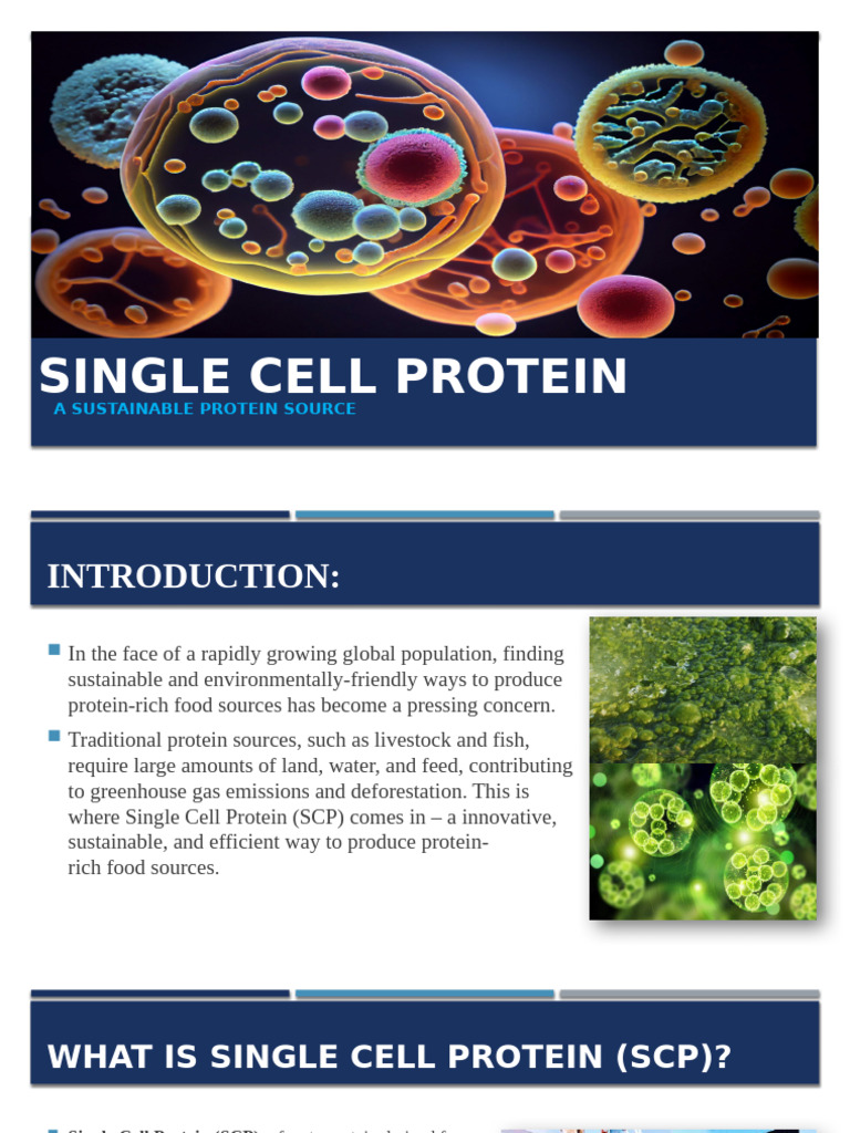 Sustainable Single Cell Protein Overview | PDF | Protein Purification ...