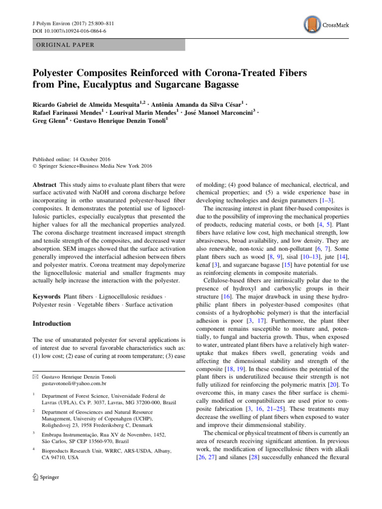 Polyester Composites with Treated Plant Fibers | PDF | Composite ...