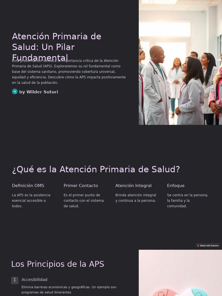Atencion Primaria de Salud Un Pilar Fundamental | PDF | Sistema de ...