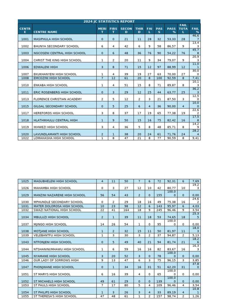 2024 JC School Performance Overview | PDF | Adolescence | Childhood