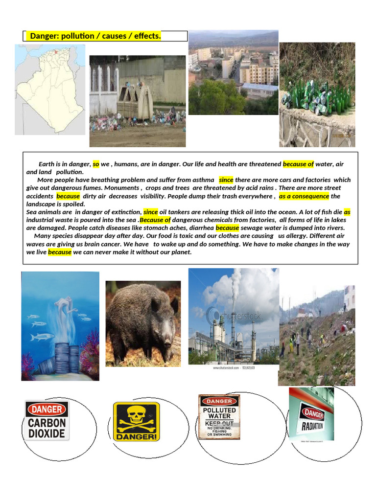 Pollution, Cause and Effect, Letter of Compl | PDF | Pollution | Human ...