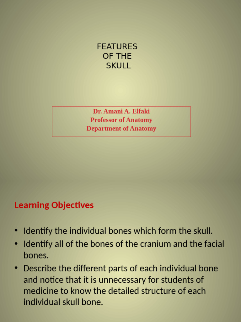 Anatomy and Features of the Skull | PDF | Skull | Human Head And Neck