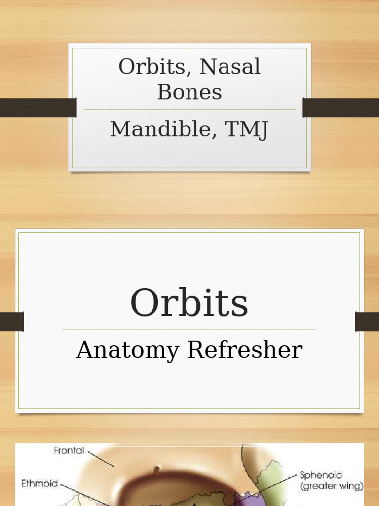 Orbital and Mandibular Imaging Techniques | PDF | Primate Anatomy ...