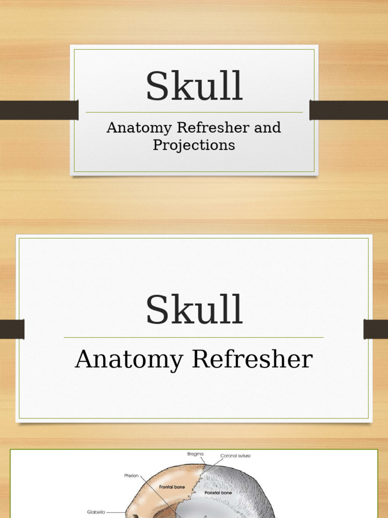 Lateral Skull Positioning Guide | PDF | Skull | Anatomical Terms Of ...