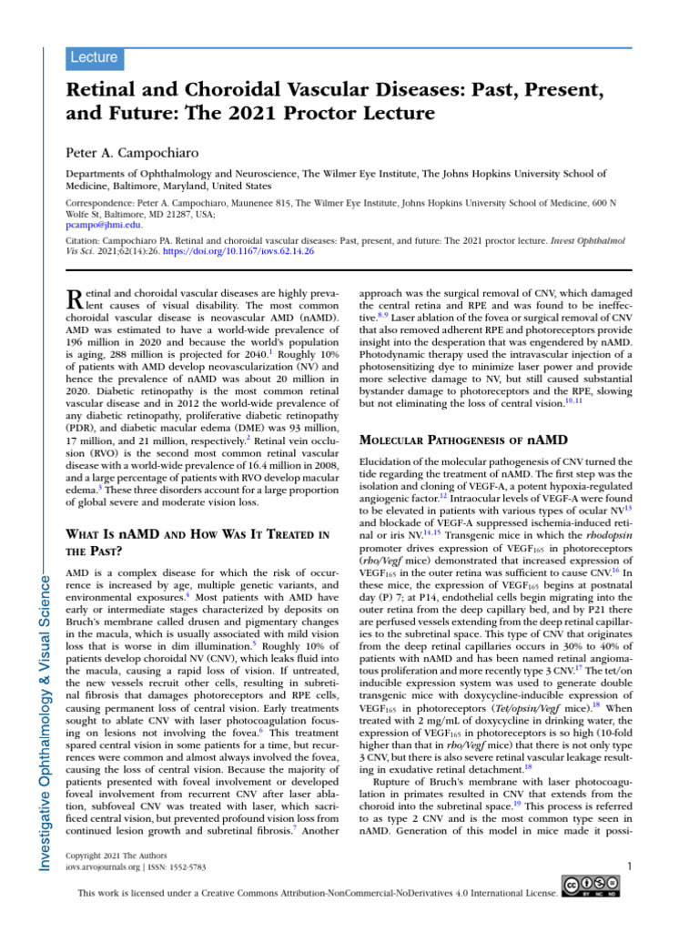 Retinal and Choroidal Vascular Diseases Past Prese | PDF | Retina ...