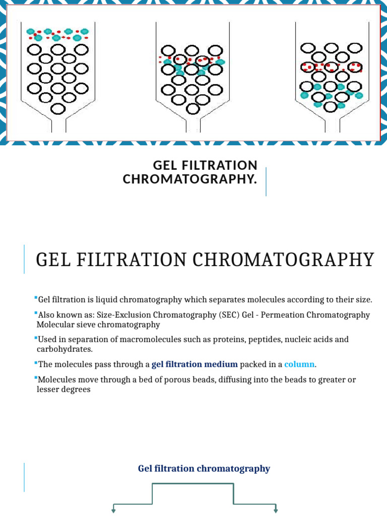 Gel Filtration Chromatography | PDF | Chromatography | Gel Electrophoresis