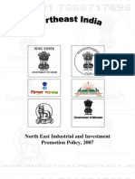 Neiipp Industrial Policy 2007