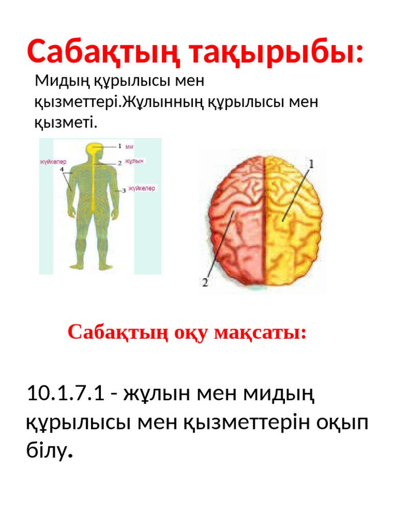 Жалаңаш қыздар еңкейіп тұрған фото