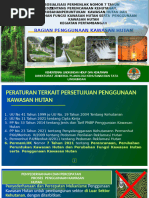 Persetujuan Penggunaan Kawasan Hutan | PDF