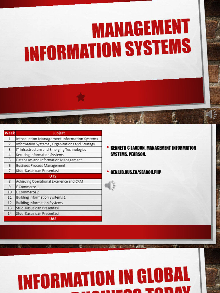 Management Information Systems Overview | PDF | Management Information ...