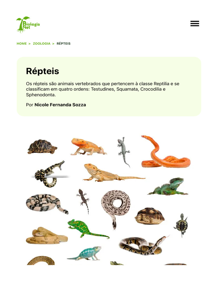 Classificação dos Répteis | PDF | Réptil | Tartaruga