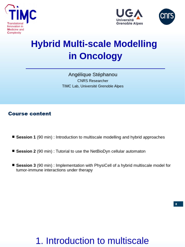 Hybrid Multiscale Modeling in Oncology | PDF | Angiogenesis | Lactate ...