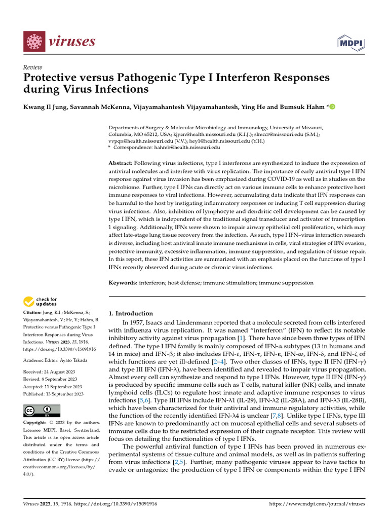 Type I Interferon in Virus Infections | PDF | Interferon | Immune System
